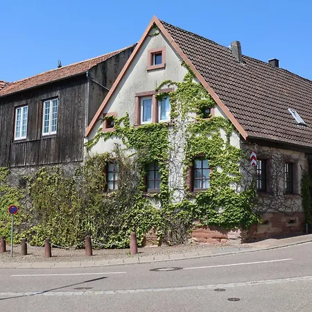 Appartement Suedpfalz *